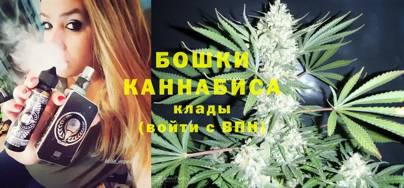 Конопля SATIVA & INDICA  сколько стоит  Буй 